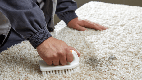 Professional Rug Cleaning Don Valley